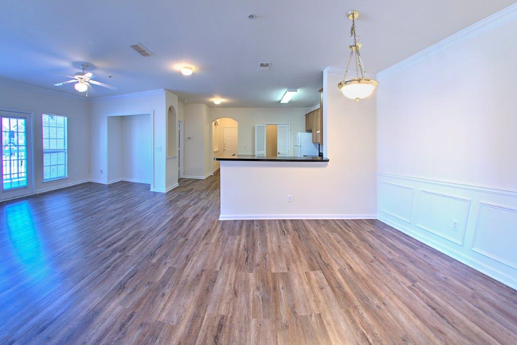 Gallery Photo 7